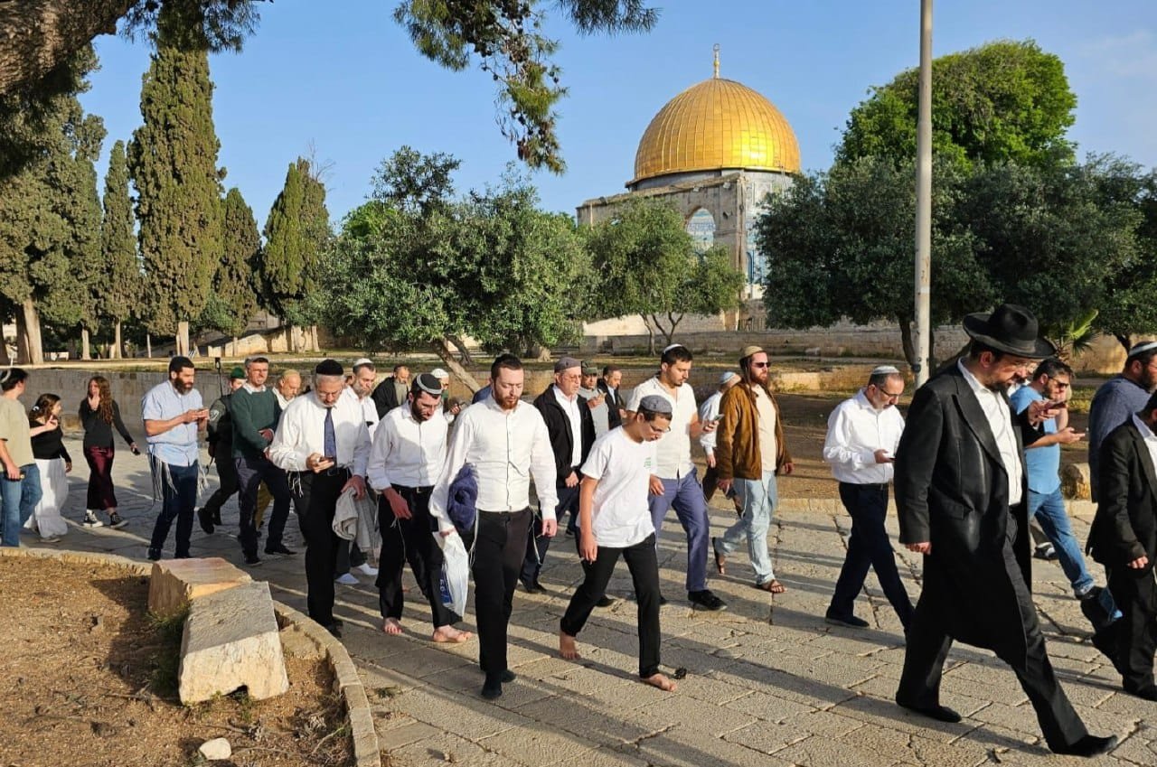 Occupation holds wedding at Al-Aqsa courtyards