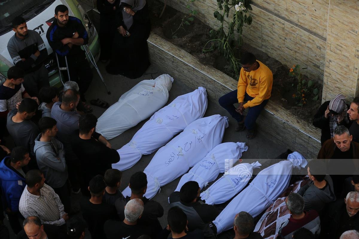 Gaza death toll surges to 56,412 amid ongoing Israeli genocide