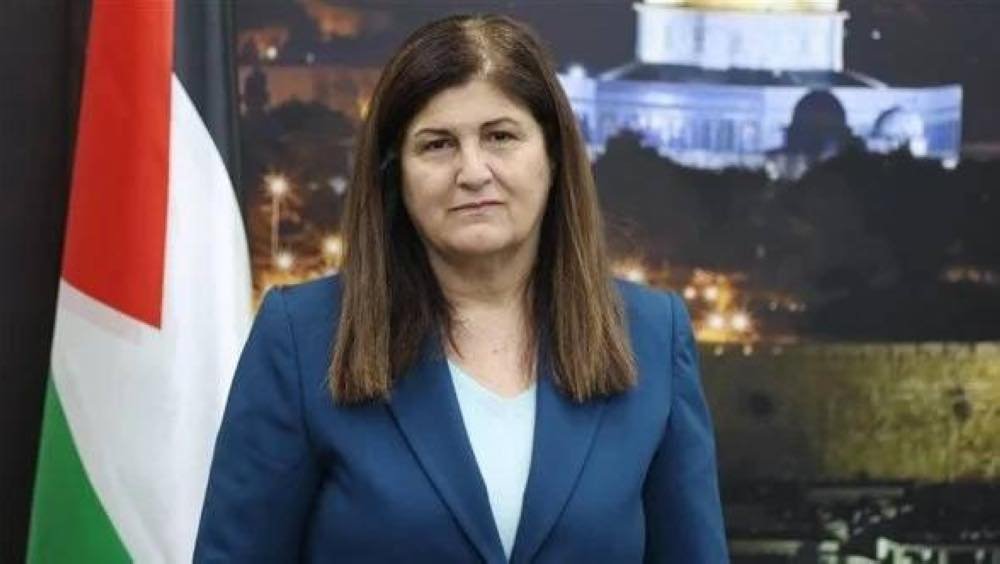 شاهين: 149 دولة تعترف بفلسطين والدبلوماسية الفلسطينية تواصل جهودها لتوسيع دائرة الاعتراف