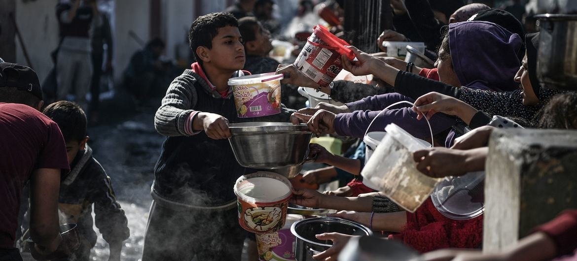 UN Experts Call on General Assembly to Intervene as Famine and Mass Killings Intensify in Gaza