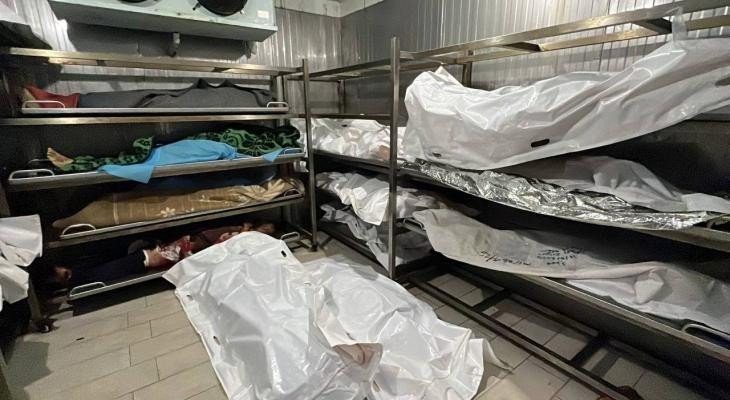 Human Rights Organization Accuses Israel of Torture and Executions in Gaza