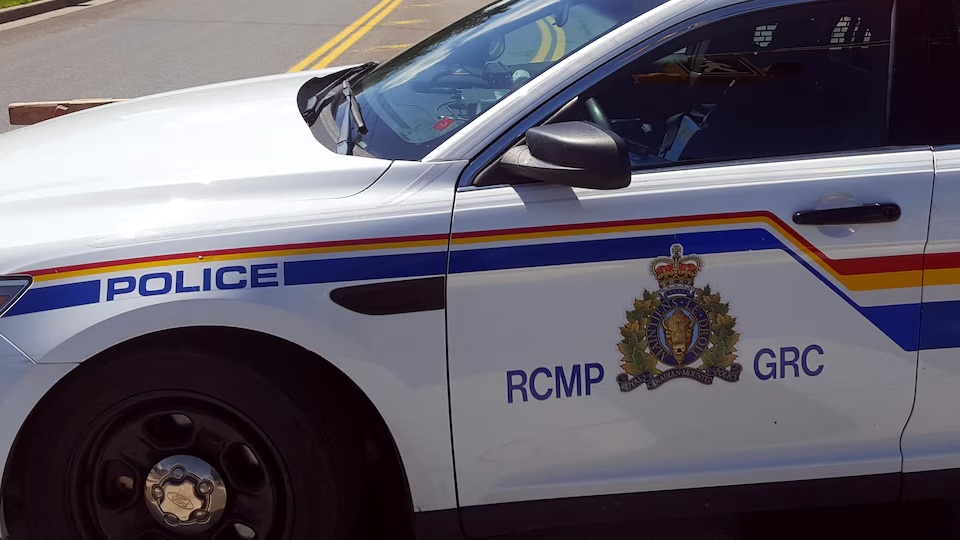 Security Campaign Against Pro-Palestinian Activists in Ontario, Canada