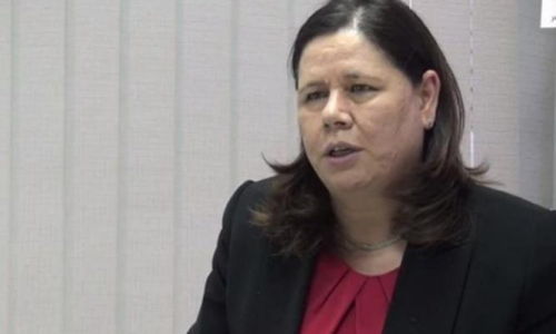 دفاعا عن فدوى البرغوثي