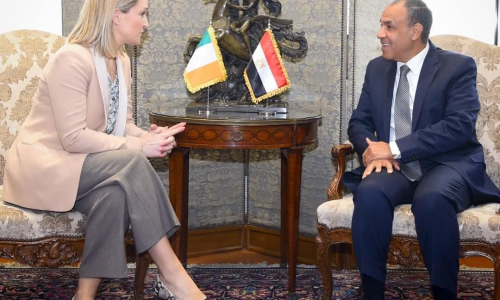 Egypt’s FM Says Peace and Security Elusive Without Palestinian Rights Fulfilled