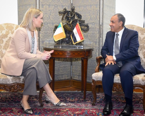 Egypt’s FM Says Peace and Security Elusive Without Palestinian Rights Fulfilled