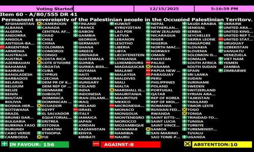 UN General Assembly adopts resolution affirming Palestinian right to self-determination