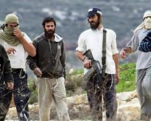 الشرطة الفلسطينية: إحالة 1263 قضية اعتداء من المستوطنين للارتباط العسكري خلال عام