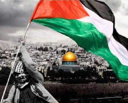 Literature and Culture in Palestine: A Critical Reflection