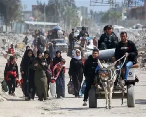 النخب المثقفة والجهل السياسي: مأزق الفلسطيني بين حماس والسلطة