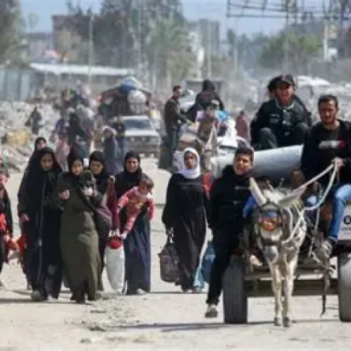 النخب المثقفة والجهل السياسي: مأزق الفلسطيني بين حماس والسلطة