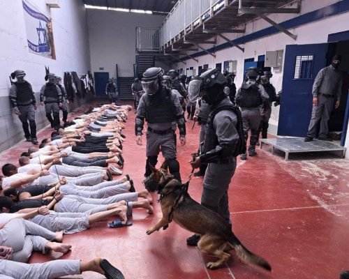 نادي الأسير الفلسطيني: المقاطع المصوّرة لعمليات التعذيب بحق المعتقلين محاولة لاستهداف ارادتهم وترهيب عائلاتهم