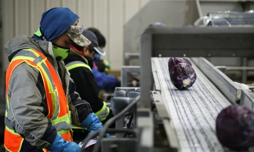 تقرير منظمة العفو الدولية: العمال الأجانب في كندا بين الاستغلال والتمييز