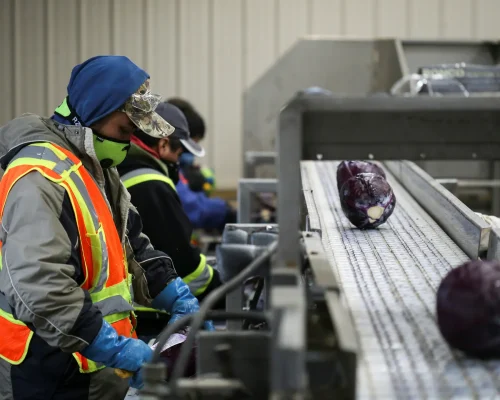 تقرير منظمة العفو الدولية: العمال الأجانب في كندا بين الاستغلال والتمييز