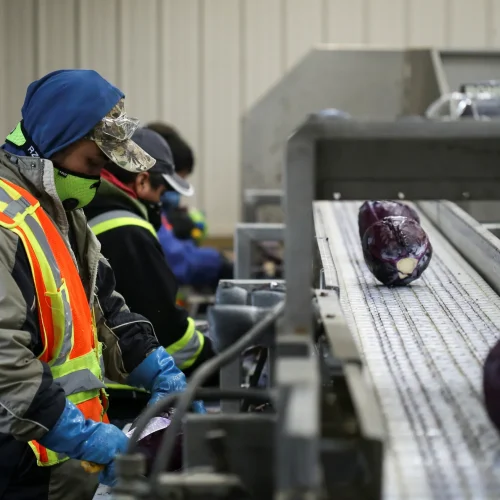 تقرير منظمة العفو الدولية: العمال الأجانب في كندا بين الاستغلال والتمييز