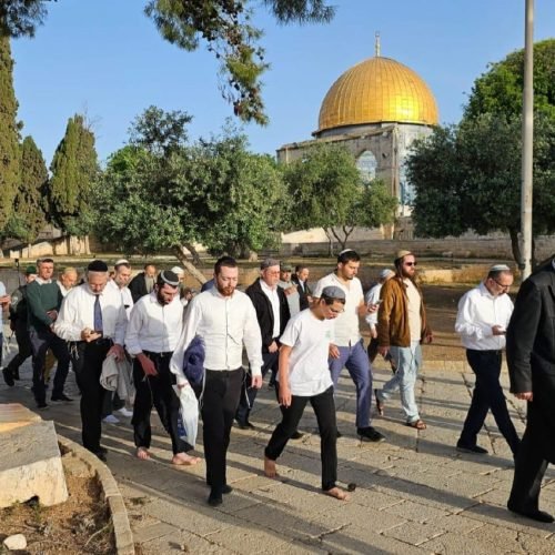Occupation holds wedding at Al-Aqsa courtyards