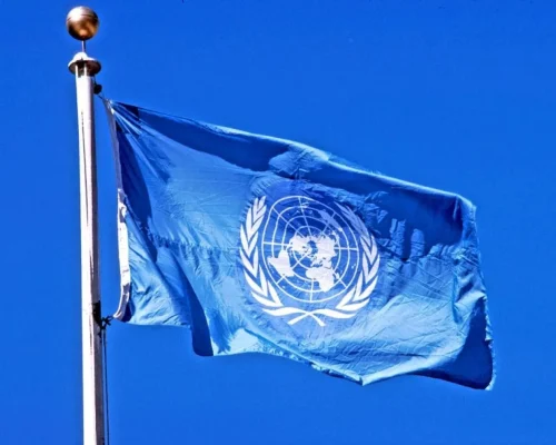 الأمم المتحدة تطالب بعمل دولي عاجل لوقف الوفيات في غزة