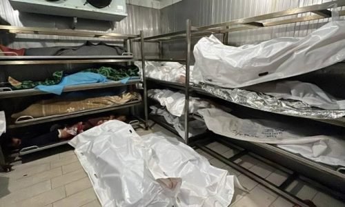 Human Rights Organization Accuses Israel of Torture and Executions in Gaza