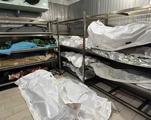 Human Rights Organization Accuses Israel of Torture and Executions in Gaza