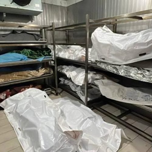 Human Rights Organization Accuses Israel of Torture and Executions in Gaza