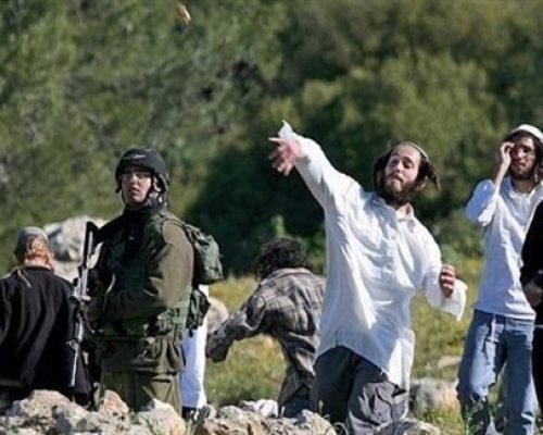 Palestinian Wall Resistance Commission: 1,396 violations committed by Israeli Occupation forces and Colonists in November