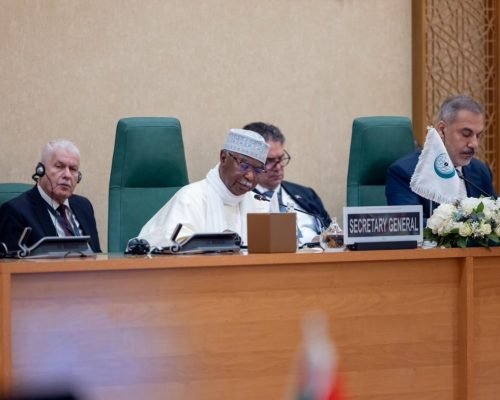 وزراء خارجية التعاون الإسلامي يؤكدون: لا بد من تمكين حكومة فلسطين من كامل صلاحياتها في الأراضي المحتلة