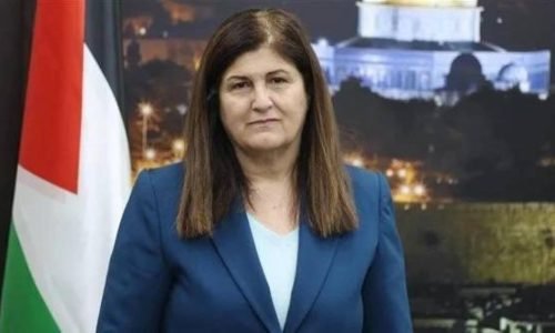 شاهين: 149 دولة تعترف بفلسطين والدبلوماسية الفلسطينية تواصل جهودها لتوسيع دائرة الاعتراف