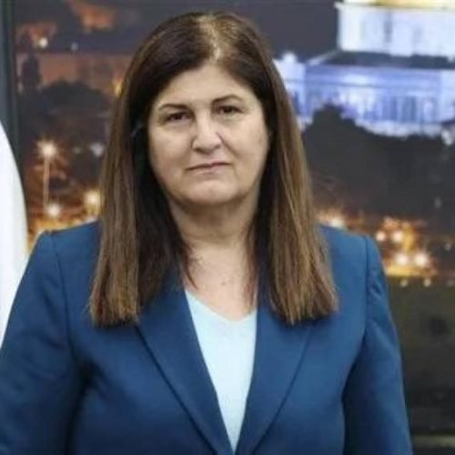 شاهين: 149 دولة تعترف بفلسطين والدبلوماسية الفلسطينية تواصل جهودها لتوسيع دائرة الاعتراف