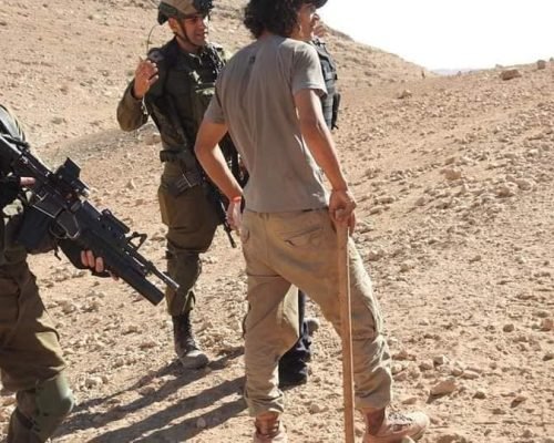 Israeli Occupation detain foreign activists near Hebron