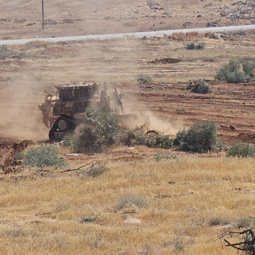 Al-Mughayyir Under Siege: Israeli Forces Uproot Thousands of Olive Trees