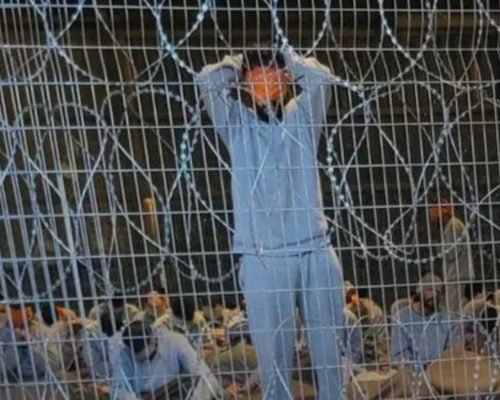 Palestinian detainee Alaa Mahlawi, from Gaza, dies in Israeli Occupation detention