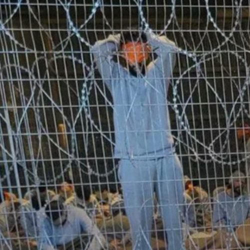 Palestinian detainee Alaa Mahlawi, from Gaza, dies in Israeli Occupation detention