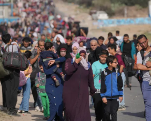 The displaced of northern Gaza: Voices from the brink of destruction