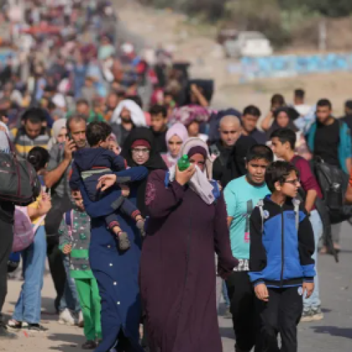 The displaced of northern Gaza: Voices from the brink of destruction