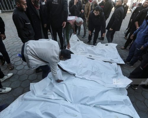 Occupation Commits Eight Massacres in Gaza over the past 24 hours