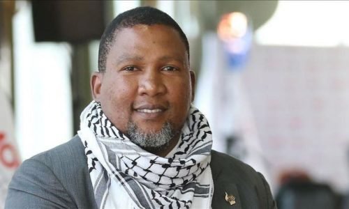 حفيد مانديلا ينضم إلى أسطول غزة: الفلسطينيون يواجهون فصلا عنصريا أسوأ مما شهدته جنوب أفريقيا