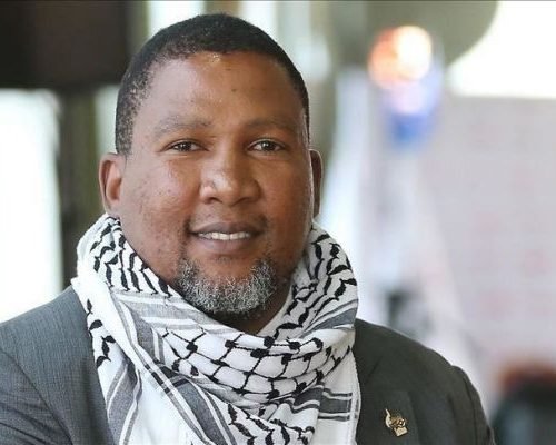 حفيد مانديلا ينضم إلى أسطول غزة: الفلسطينيون يواجهون فصلا عنصريا أسوأ مما شهدته جنوب أفريقيا