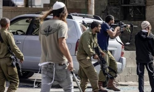 الأمم المتحدة: المستوطنون هجروا 69 تجمعا للفلسطينيين في الضفة منذ 2023