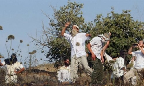 أمر عسكري إسرائيلي يحظر ارتداء اللثام في الضفة الغربية المحتلة