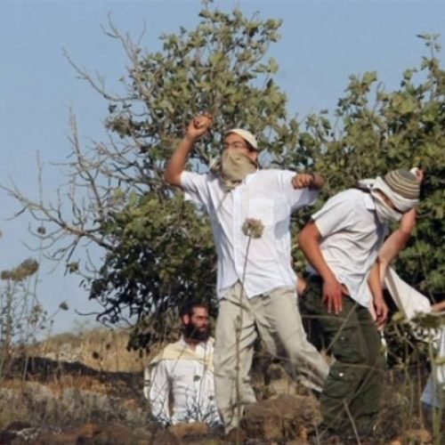 أمر عسكري إسرائيلي يحظر ارتداء اللثام في الضفة الغربية المحتلة