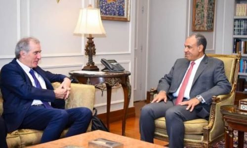 Egyptian Foreign Minister urges broader international recognition of Palestine