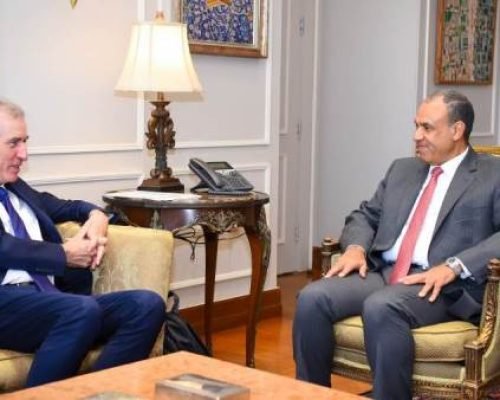 Egyptian Foreign Minister urges broader international recognition of Palestine