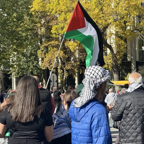 مظاهرة في ادمنتون دعما لفلسطين في الذكرى الأولى للعدوان على غزة