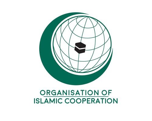 OIC welcomes UNGA’s resolution on immediate Gaza ceasefire