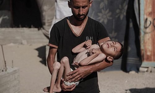 الصحة بغزة: 113 شهيدا و 637 إصابة خلال 24 ساعة