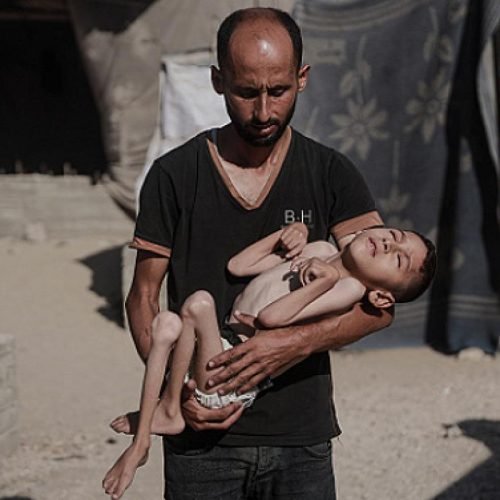 الصحة بغزة: 113 شهيدا و 637 إصابة خلال 24 ساعة