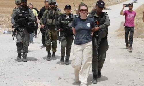 Israeli police detain international activists near Jericho
