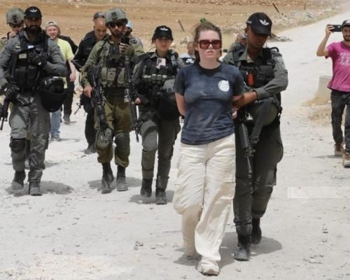 Israeli police detain international activists near Jericho