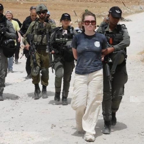 Israeli police detain international activists near Jericho